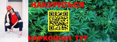 дживик Новозыбков