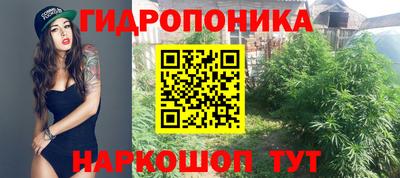 мдпв Нальчик