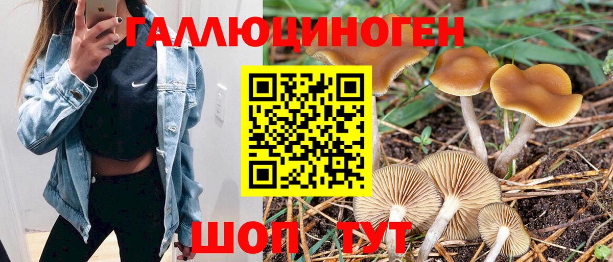 Тольятти  Псилоцибиновые грибы прущие грибы  Галлюциногенные грибы Psilocybe  как найти   Вход с VPN 